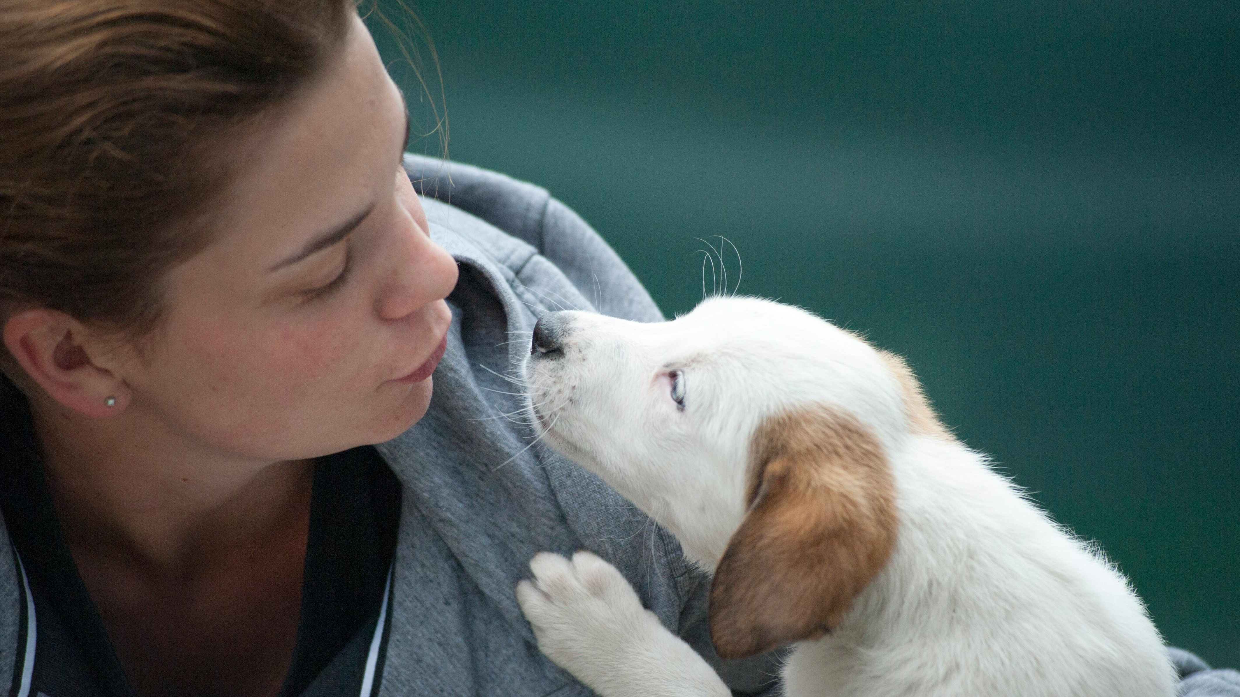 Las mascotas aumentan la esperanza de vida. FUENTE: Pexels