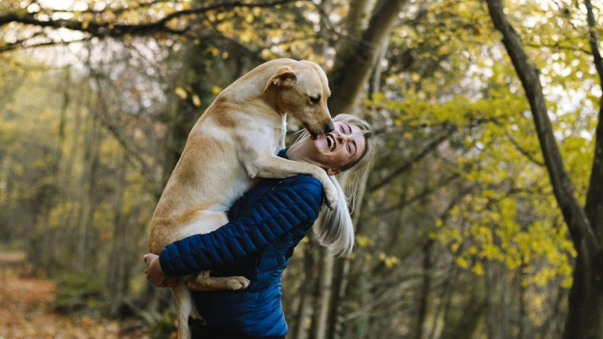 Las mascotas aumentan la felicidad