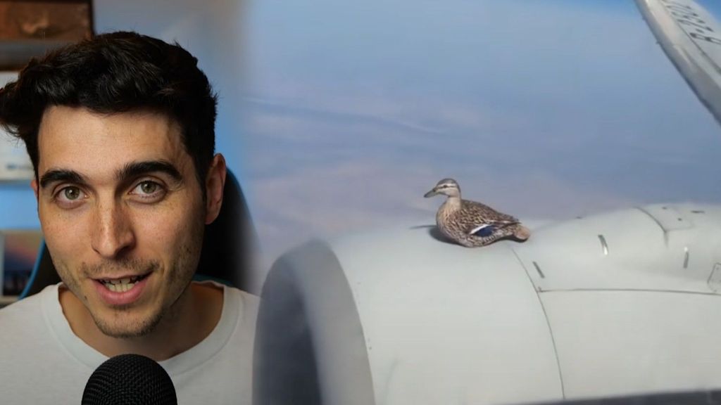 El ingeniero aerospacial Sergio Hidalgo explica en TikTok si es falso el vídeo del pato en el avión.
