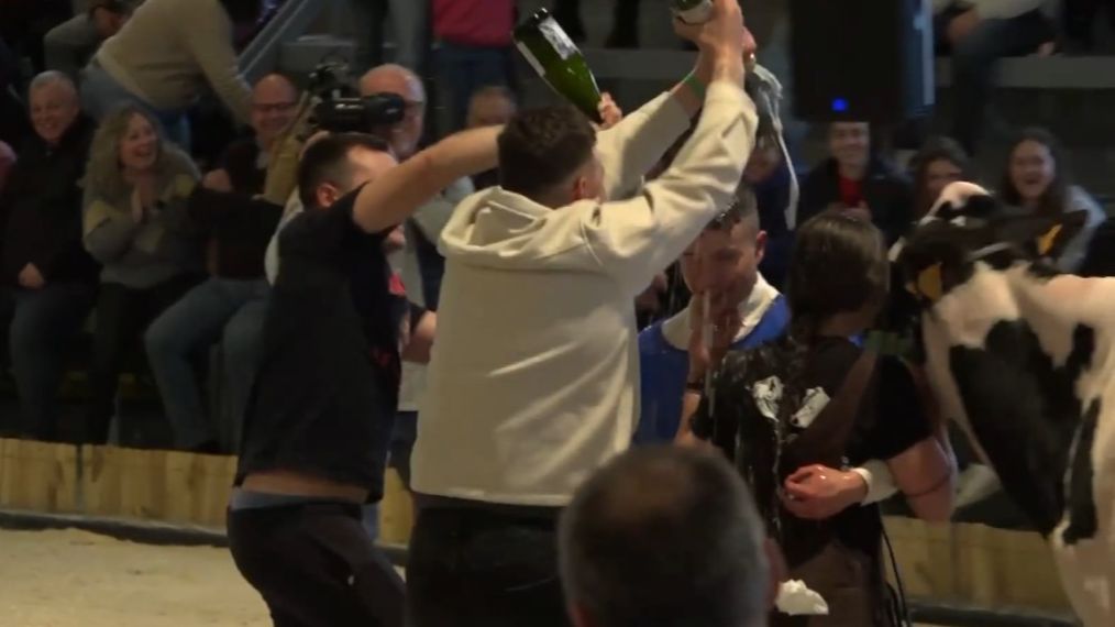 Los amigos de Abel celebran la pedida de mano en el concurso ganadero de Muimenta