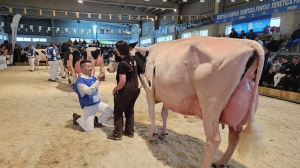 Momento de la pedida de mano en la Feria ganadera Moexmu