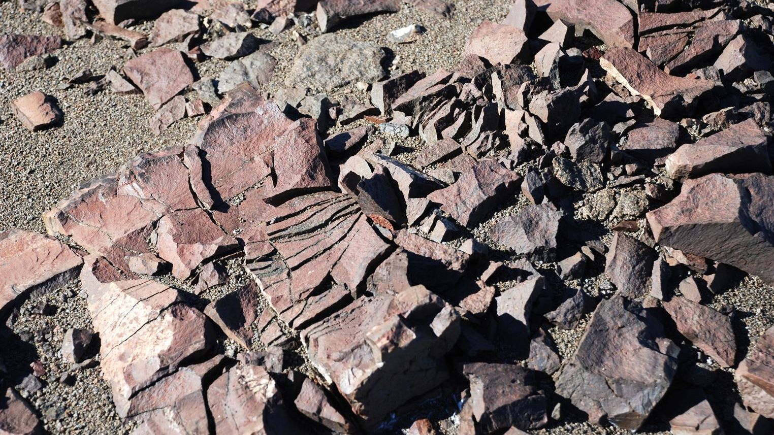 El lugar más seco de la Tierra está en la Antártida y es lo más parecido a Marte que tenemos El lugar más seco de la Tierra está en la Antártida y es lo más parecido a Marte que tenemos
