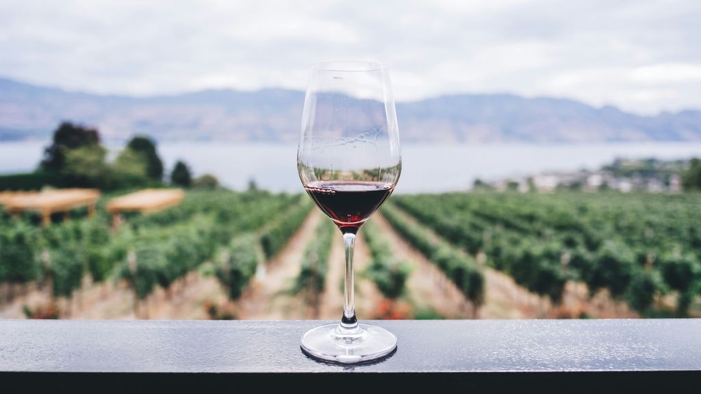 vino tinto unsplash