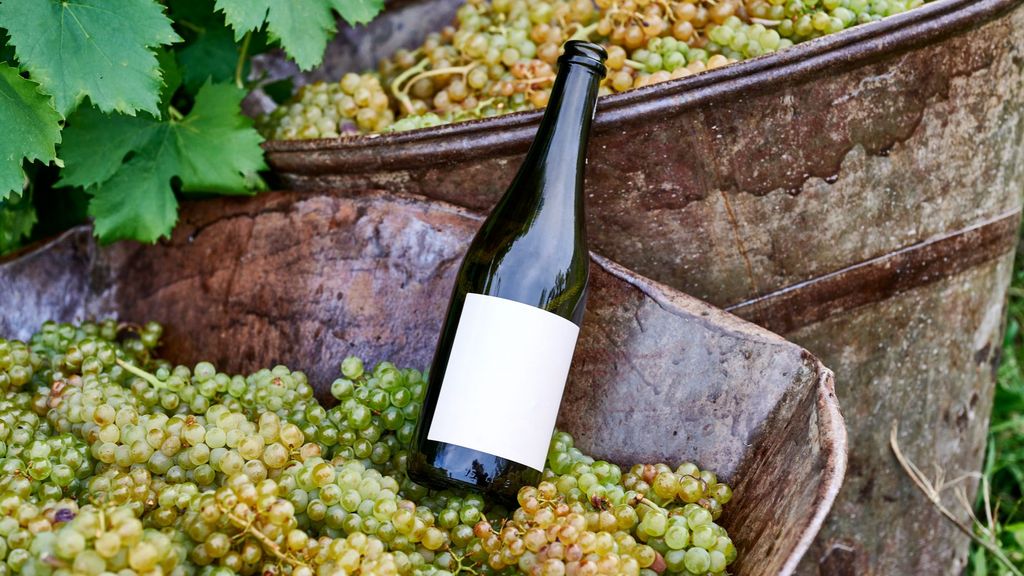 El vino natural está calando entre la gente joven con mayor facilidad que entre el público veterano