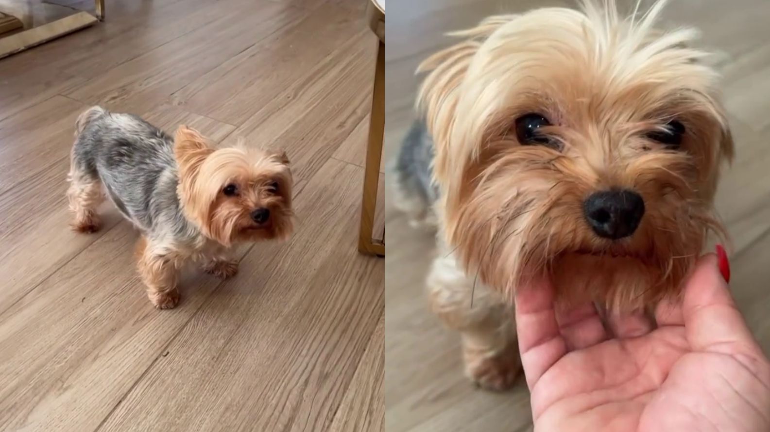 La madre de Noemí no puede borrar de su mente a Tobby