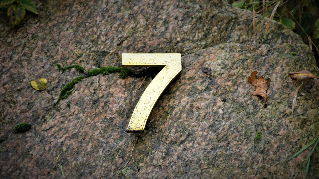 número 7