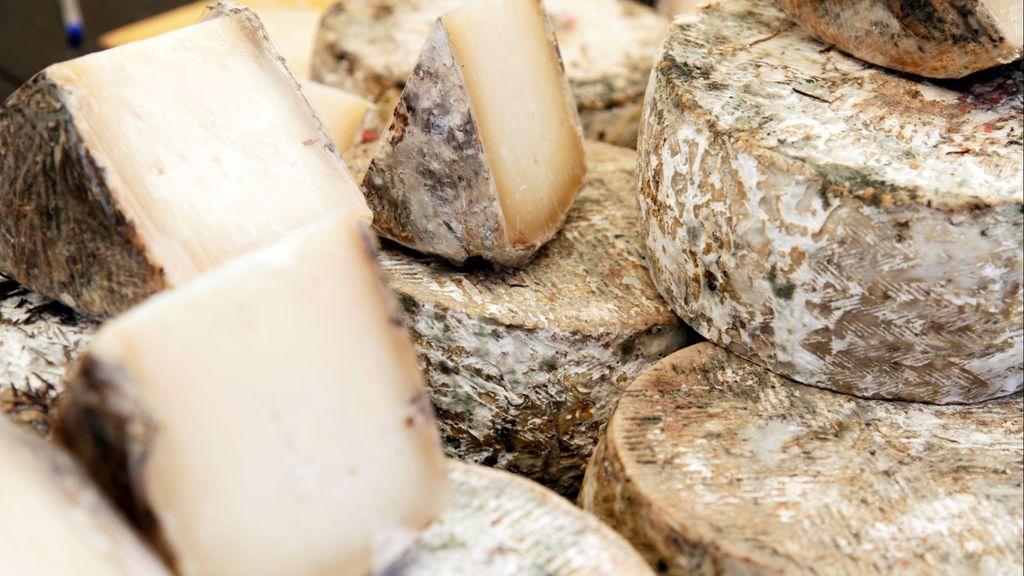 Queso Tomme