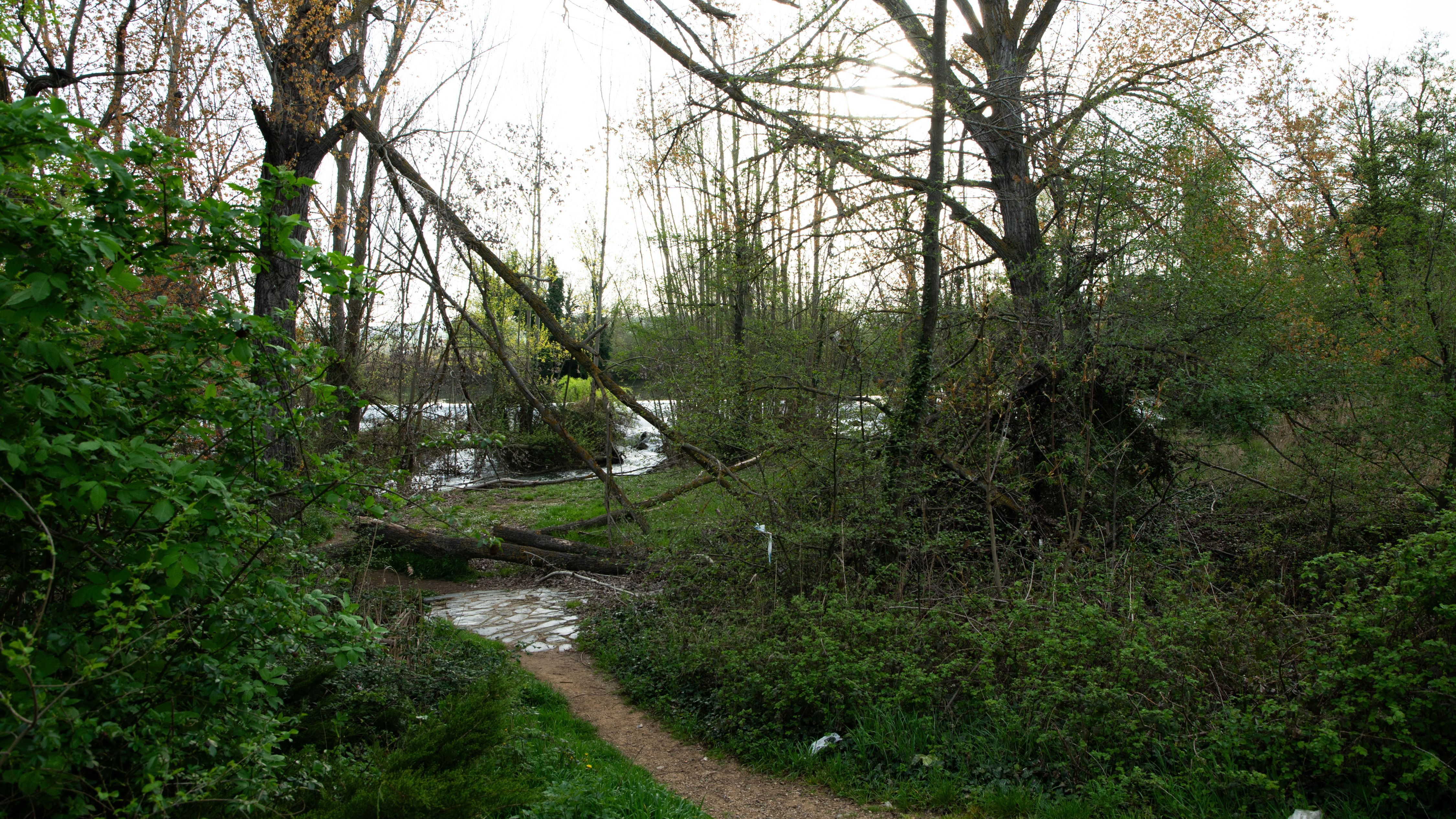 Buscan en el río Carrión a un joven desaparecido mientras se daba un baño con sus amigos