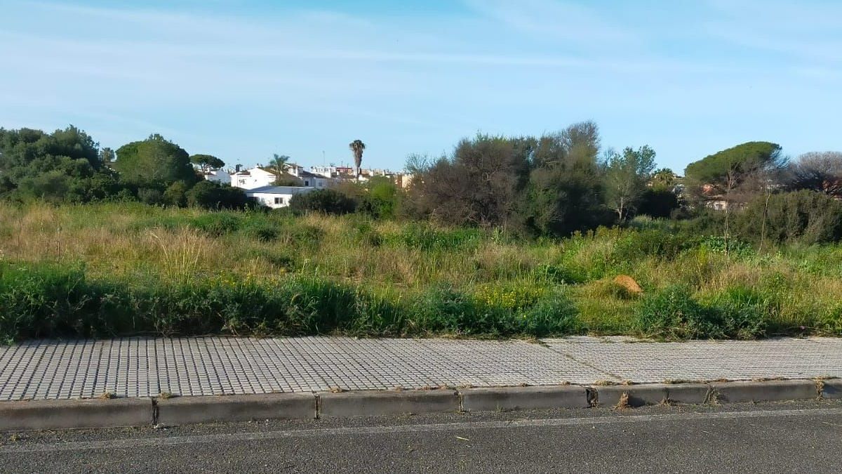 Espacio verde abandonado en Puerto Real