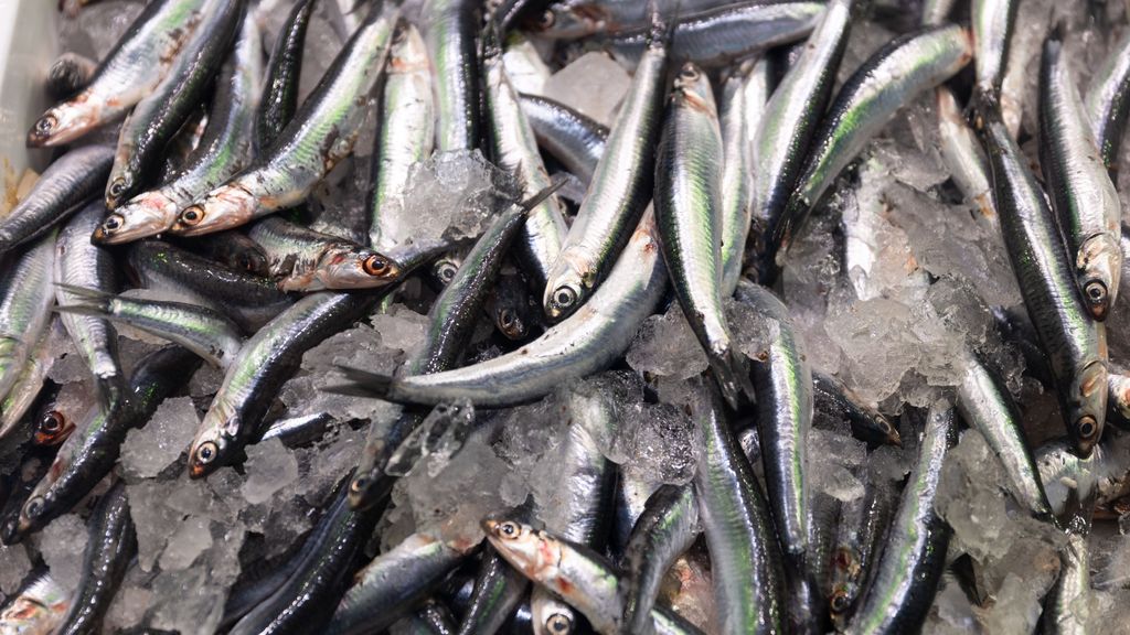 Imagen de archivo de boquerones expuestos en una pescadería de un mercado