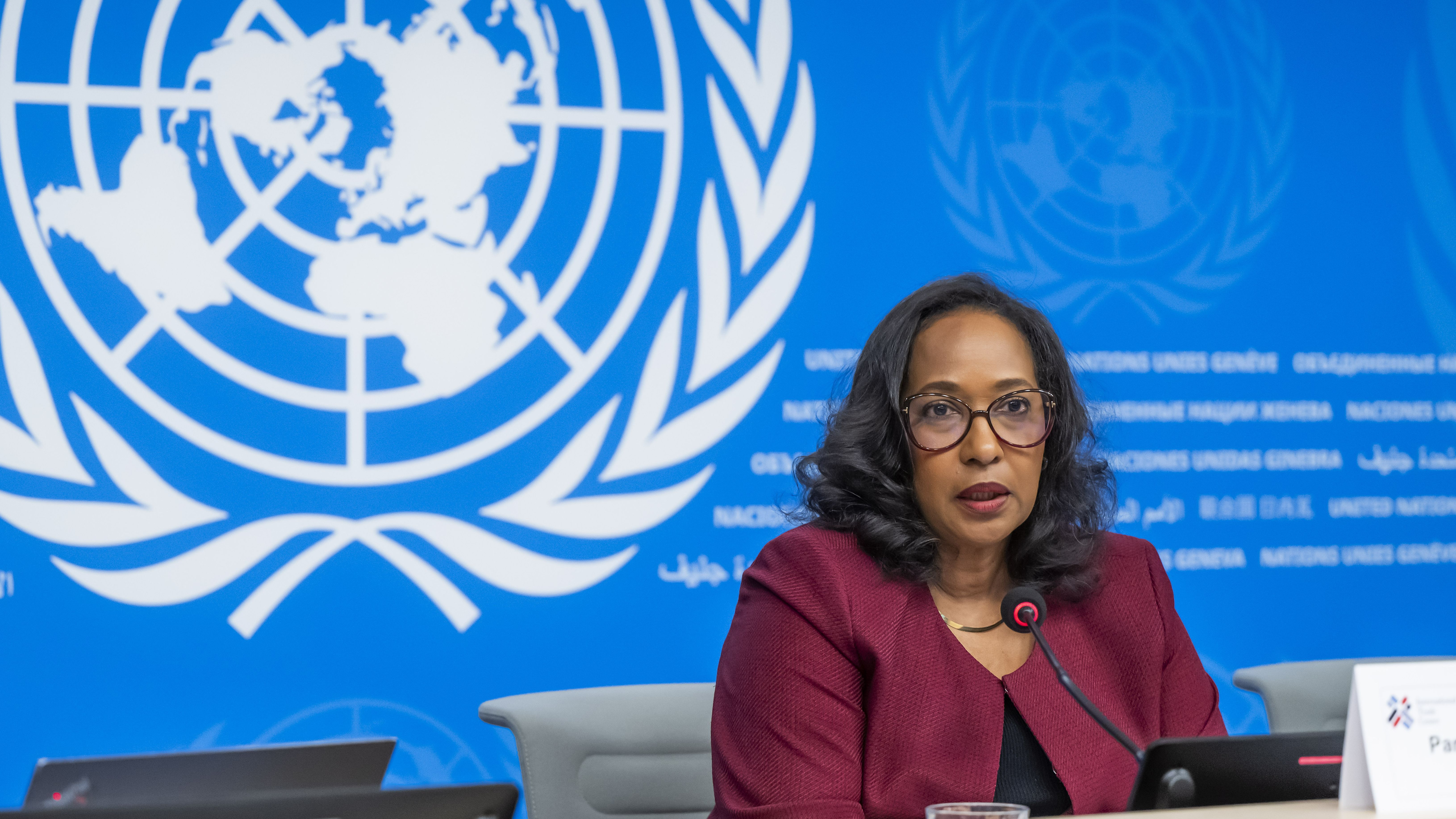 La directora del Centro de Comercio Internacional, Pamela Coke-Hamilton, en una conferencia sobre los aranceles de Trump de la ONU en Génova