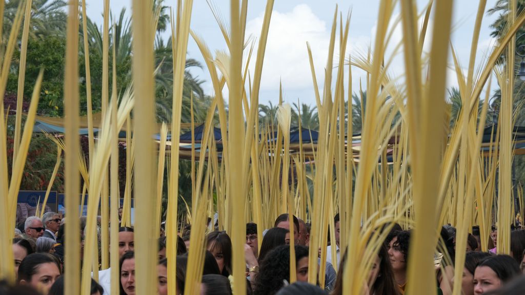 Cerca de 70.000 ilicitanos celebran con palmas blancas el tradicional Domingo de Ramos, Fiesta de Interés Turístico Internacional