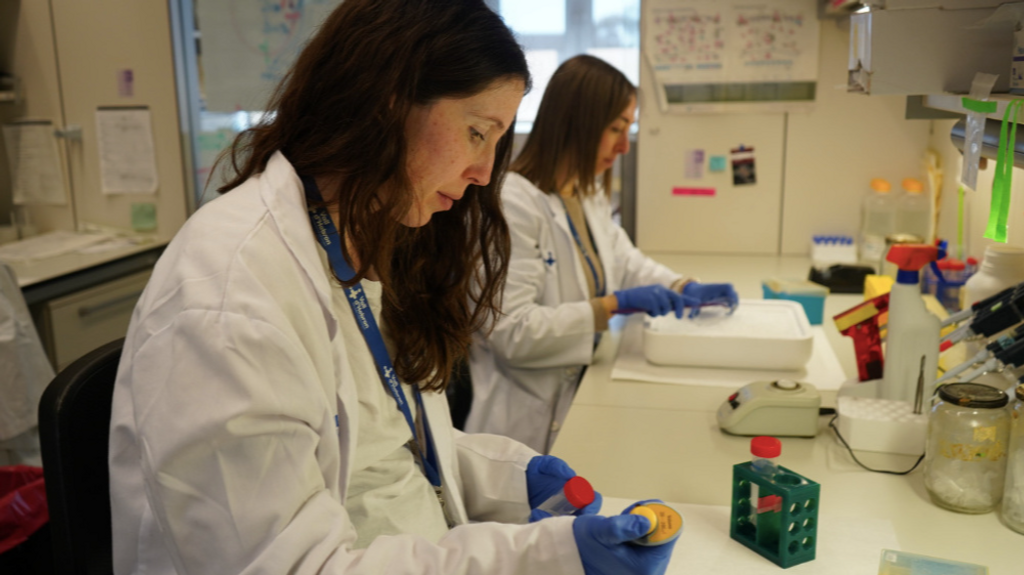 Descubren por qué la exposición al sol en bebés aumenta el riesgo de melanomas