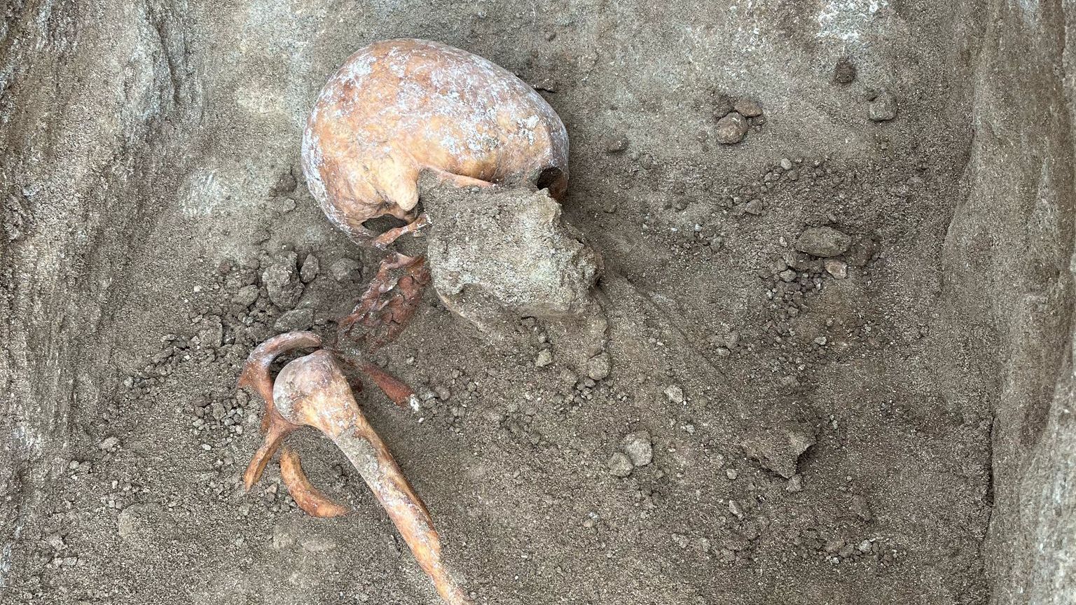 Los restos de un soldado republicano de la Guerra Civil en la masía de la Novella Baixa