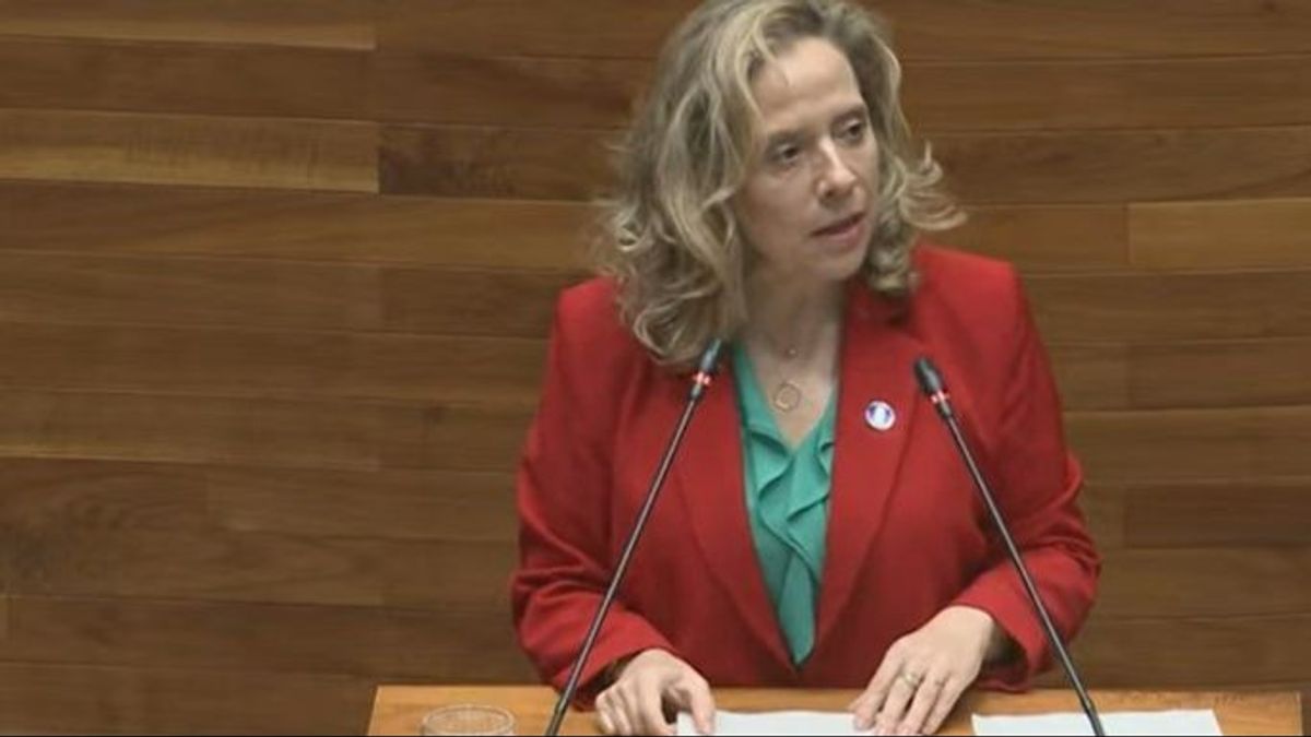 Dimite Belarmina Díaz, consejera de Transición Ecológica de Asturias, tras el trágico accidente en la mina de Cerredo