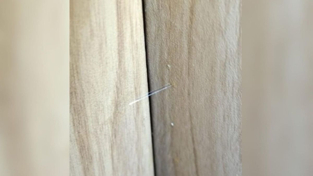 Marcadores en pisos en Barcelona