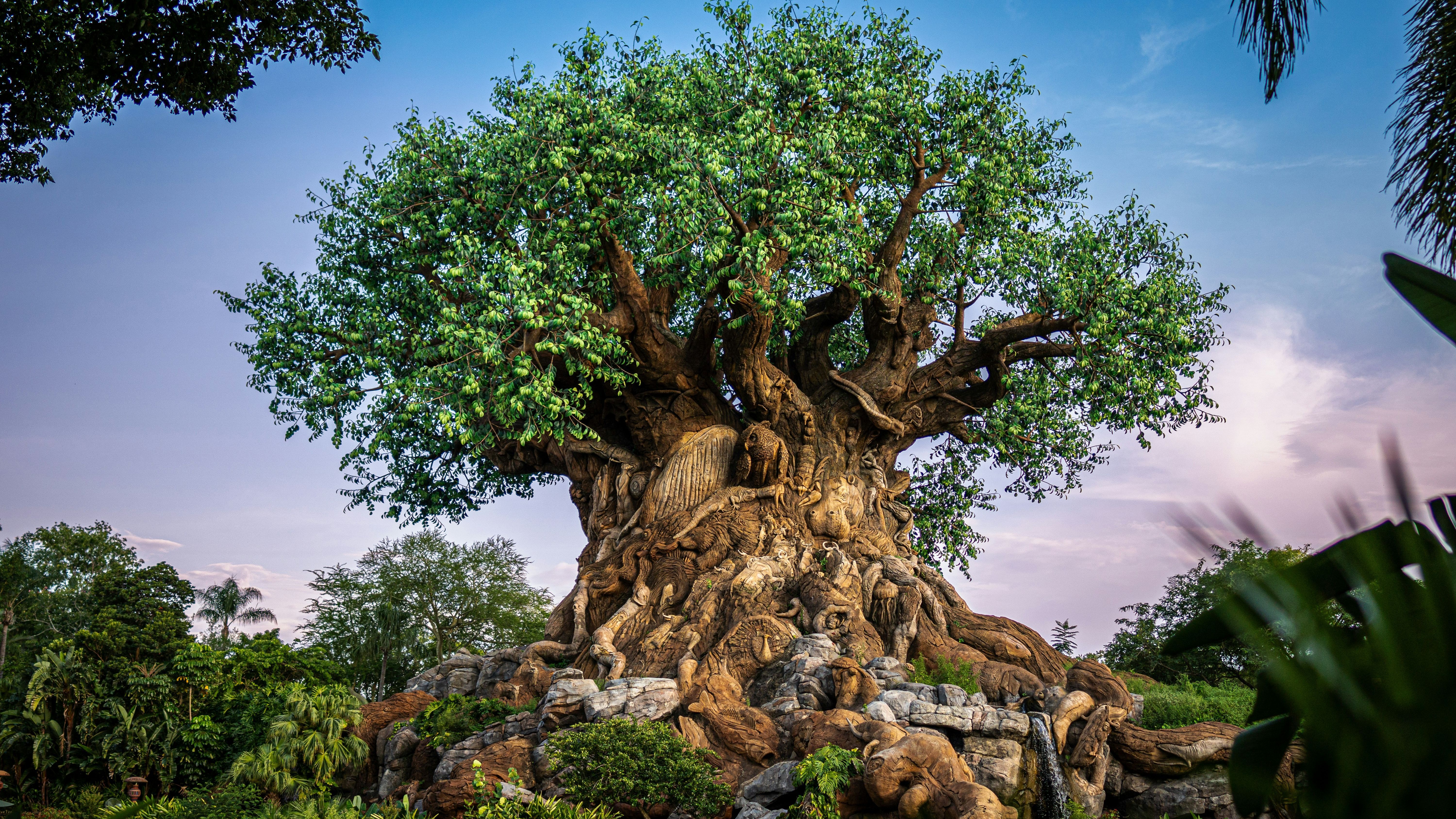 árbol de la vida árbol de la vida