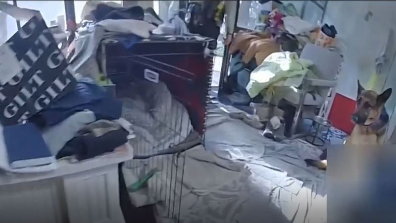 Hallan roedores muertos y basura en la casa de Gene Hackman - Noticias ...