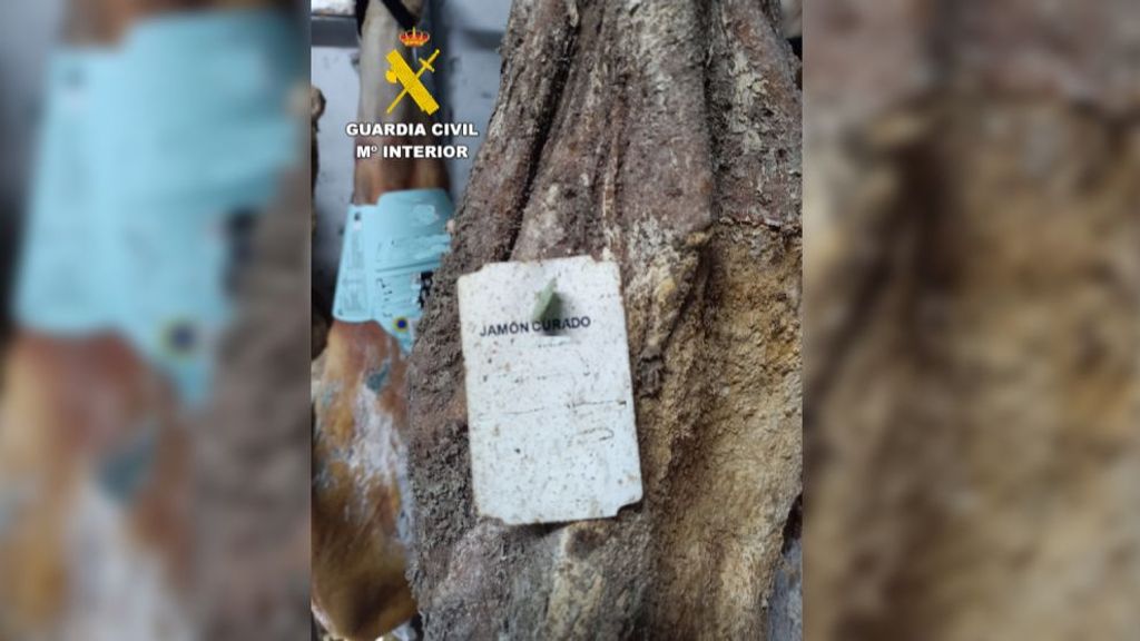 Un jamón en estado de descomposición