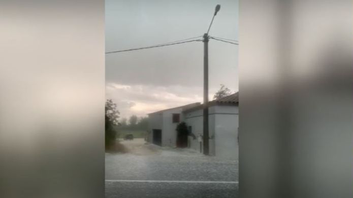 Alerta por viento 'violento' en cinco comarcas de la provincia de Lleida