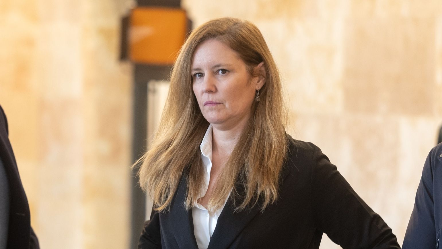 La consejera de Familia, Juventud y Asuntos Sociales de la Comunidad de Madrid, Ana Dávila.