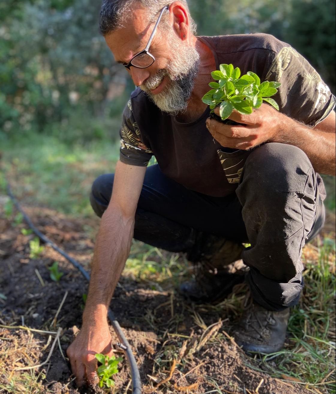 Raúl Diez con sus corujas en la sierra de san vicente