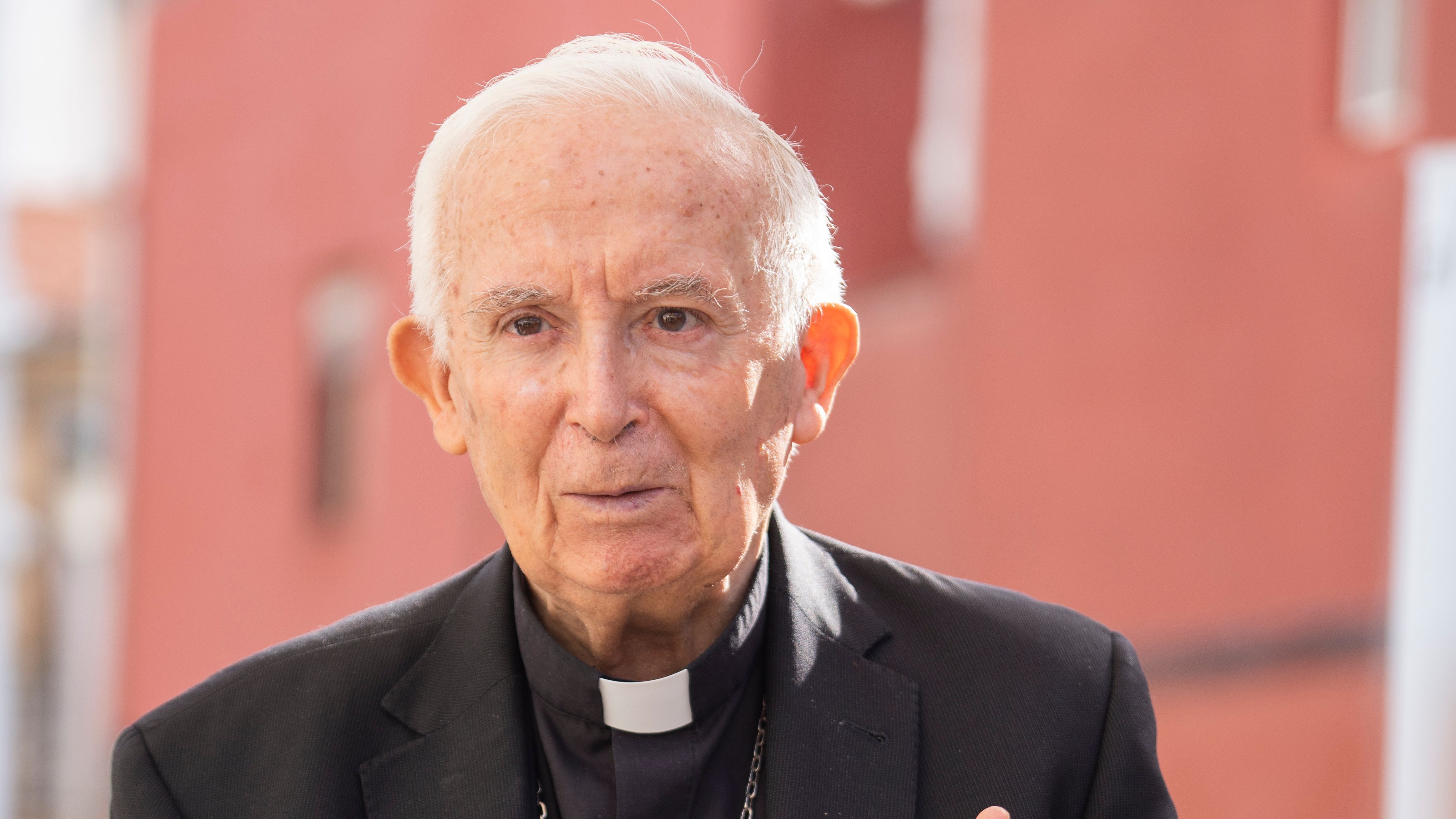 El cardenal Antonio Cañizares El cardenal Antonio Cañizares