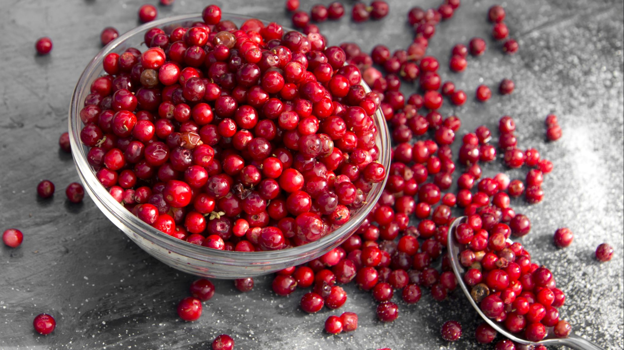 Los arándanos rojos serían los más indicados