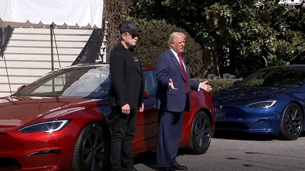 El desplome de Tesla