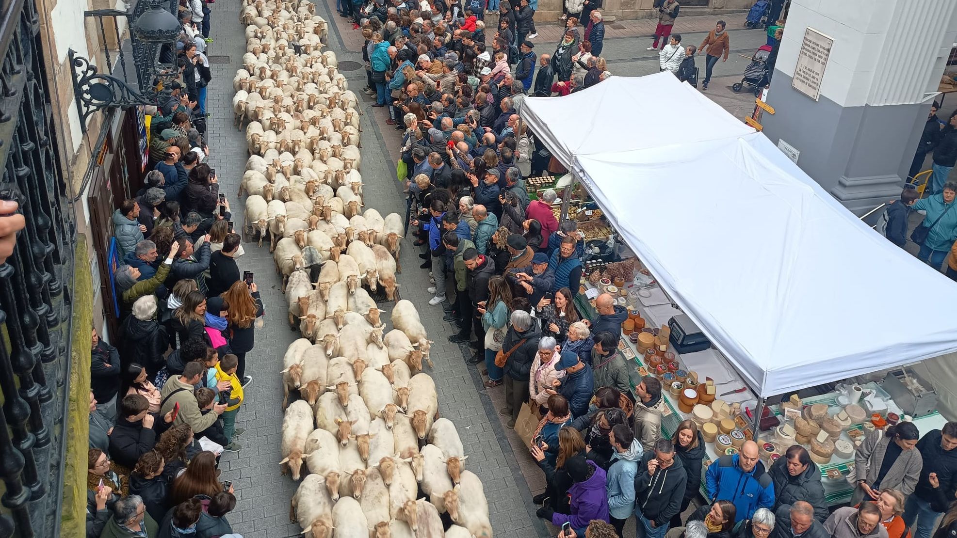 Ordizia, esta mañana