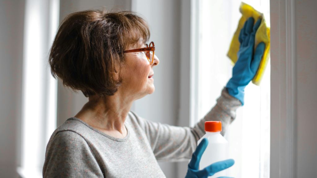 Ayudas que pueden solictar las amas de casa