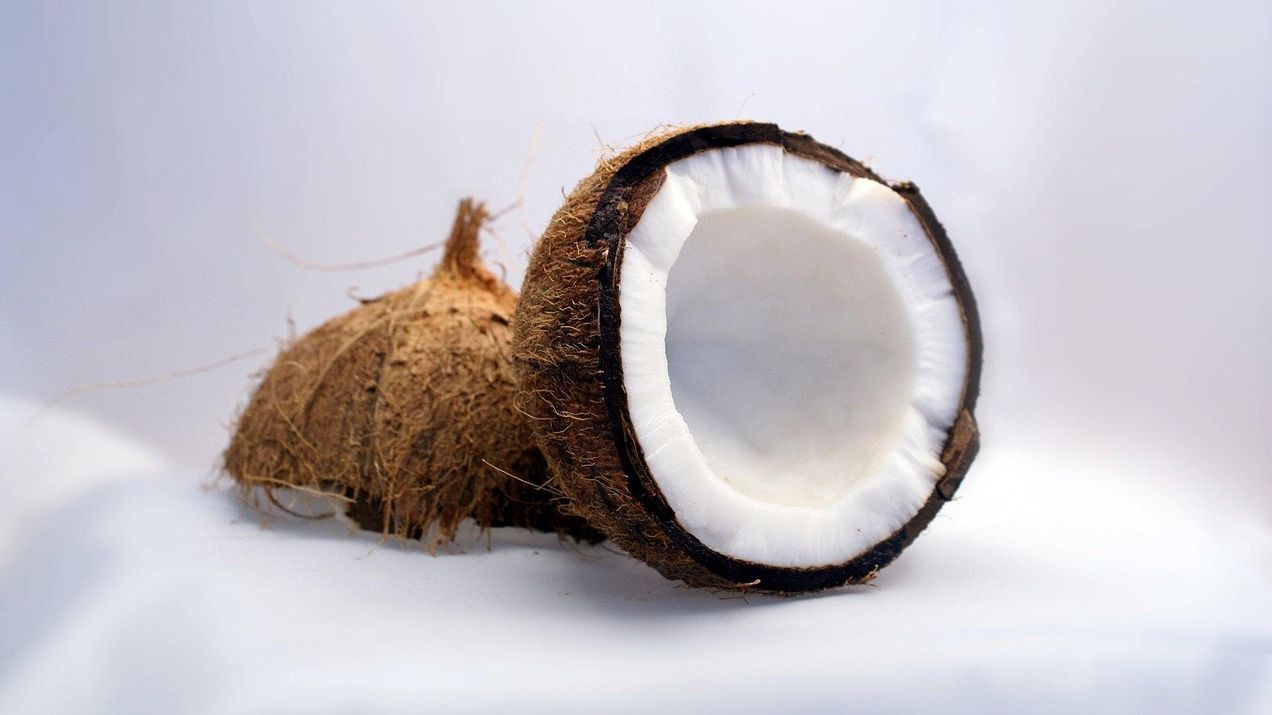Coco abierto