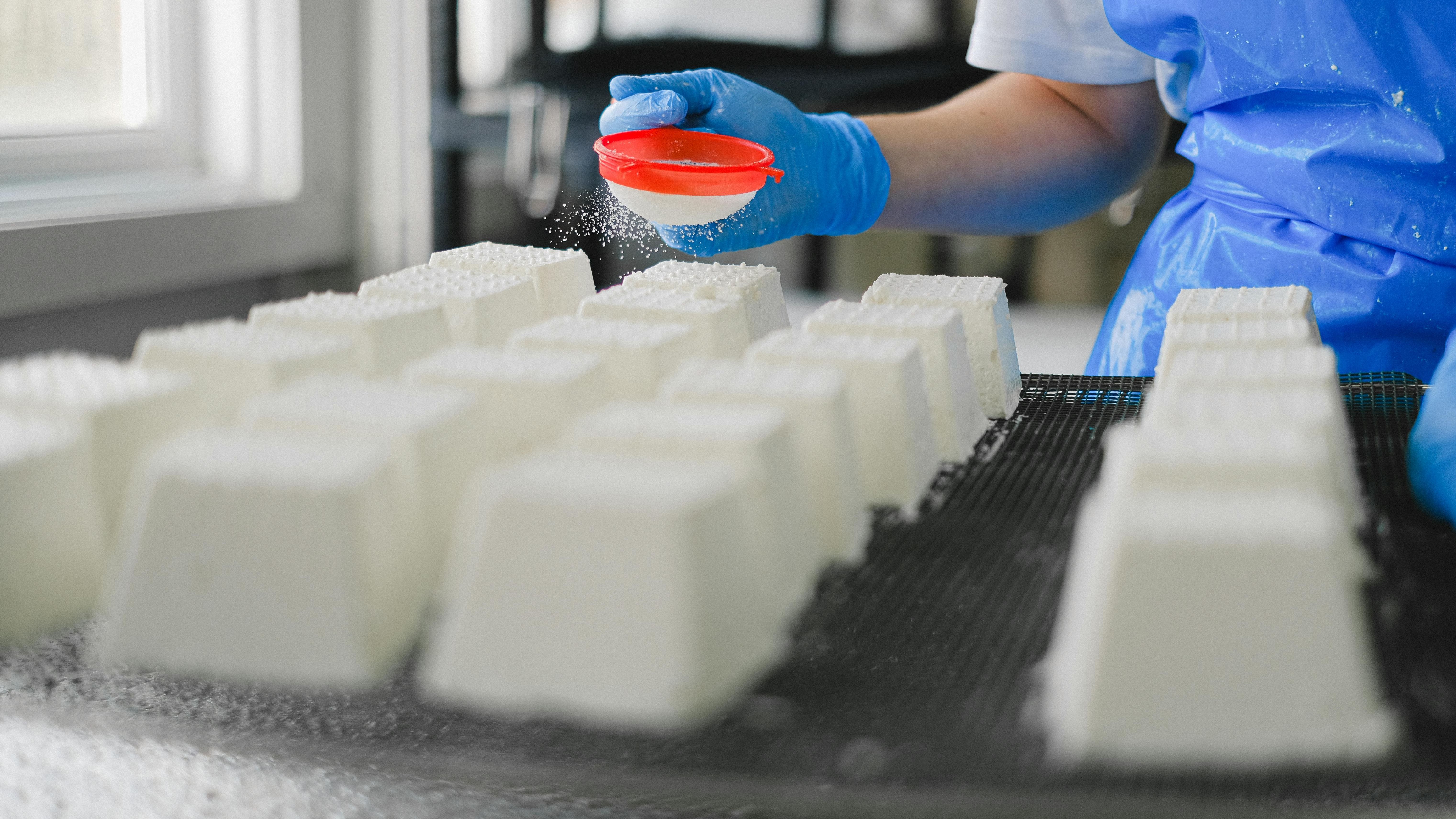 Proceso de elaboración de un queso blanco Proceso de elaboración de un queso blanco