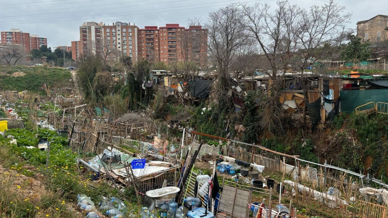 Desalojan una zona de barracas y huertos en Barcelona