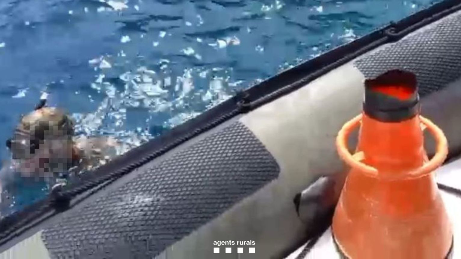 El hombre pillado en plena pesca subacuática furtiva en el Cap de Creus, Girona