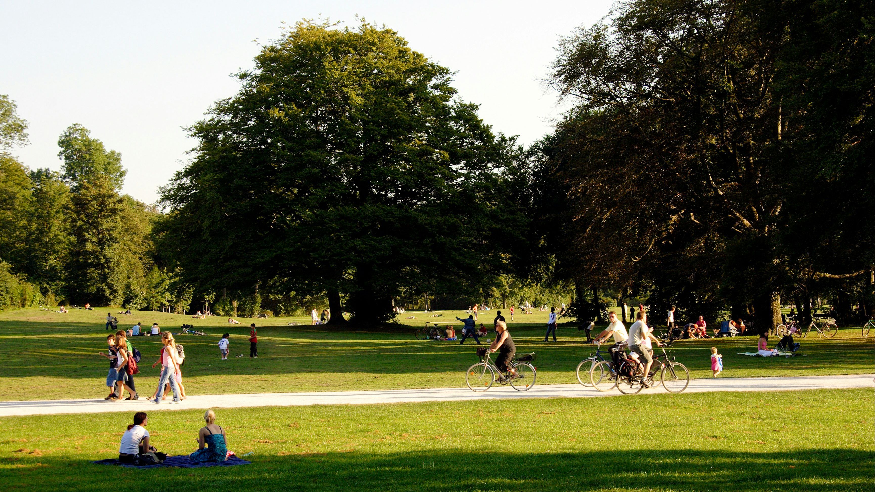 parque unsplash