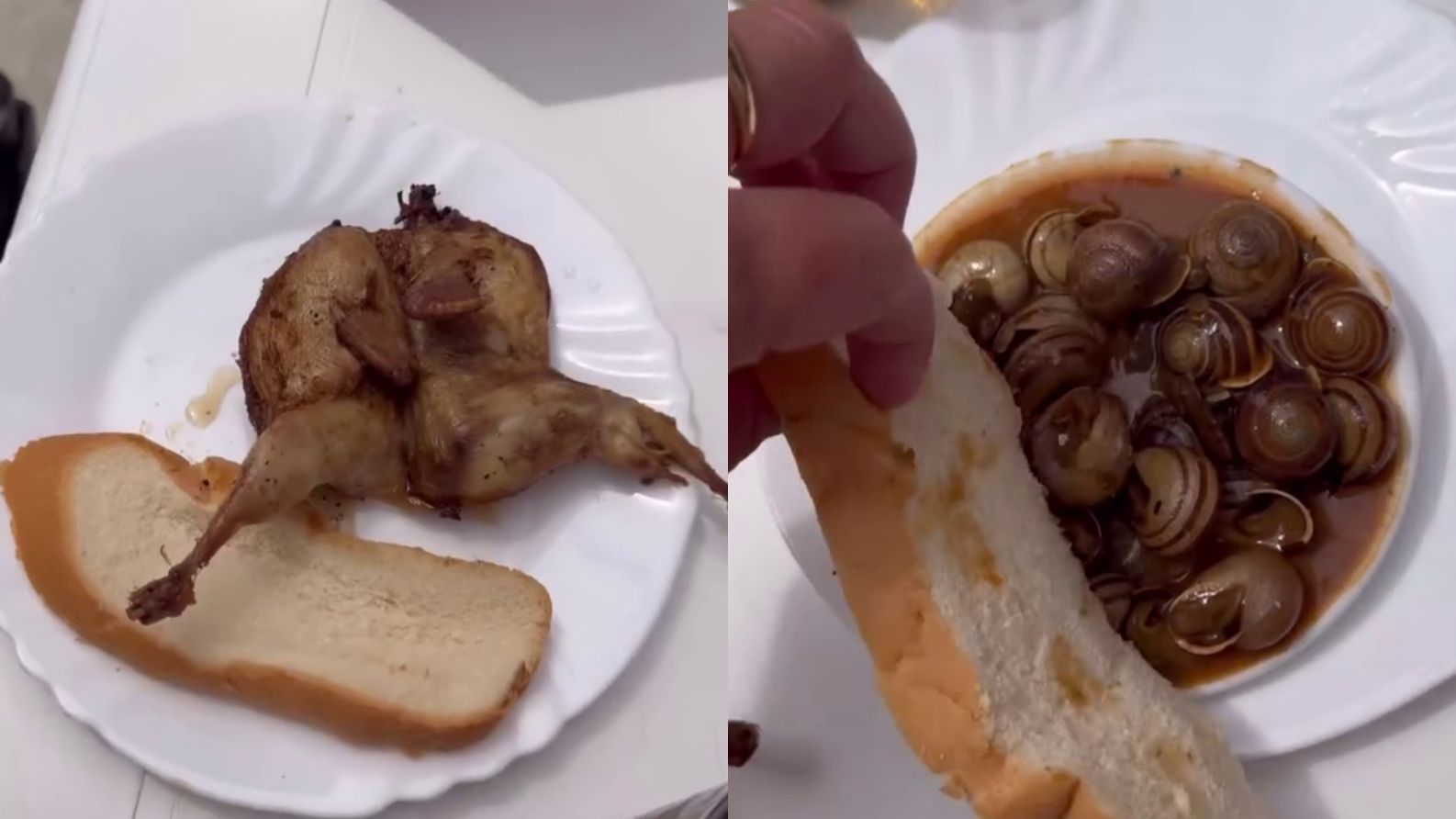 Los 'pajaritos fritos' y las cabrillas son dos de sus especialidades