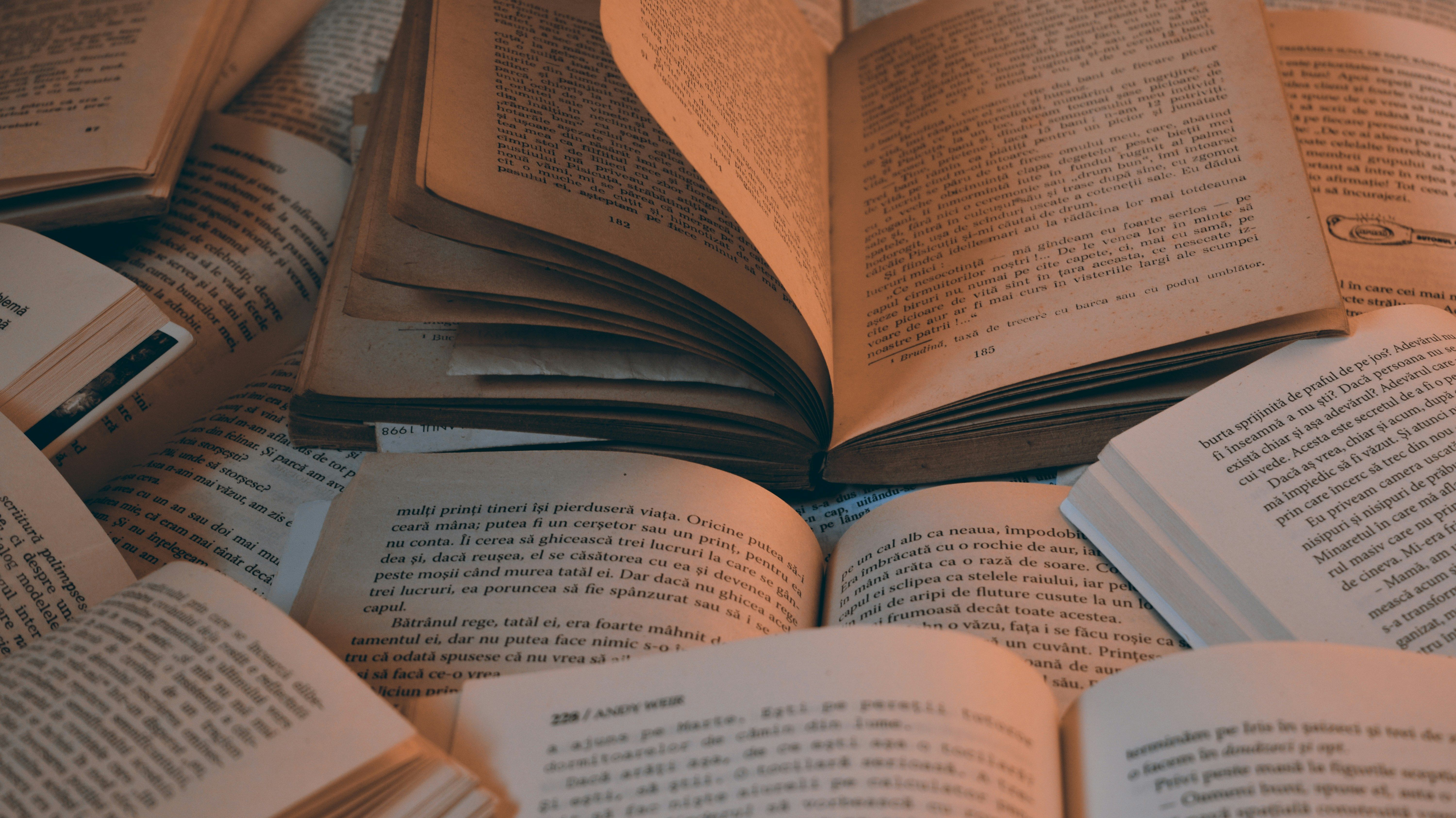 estudios libros unsplash