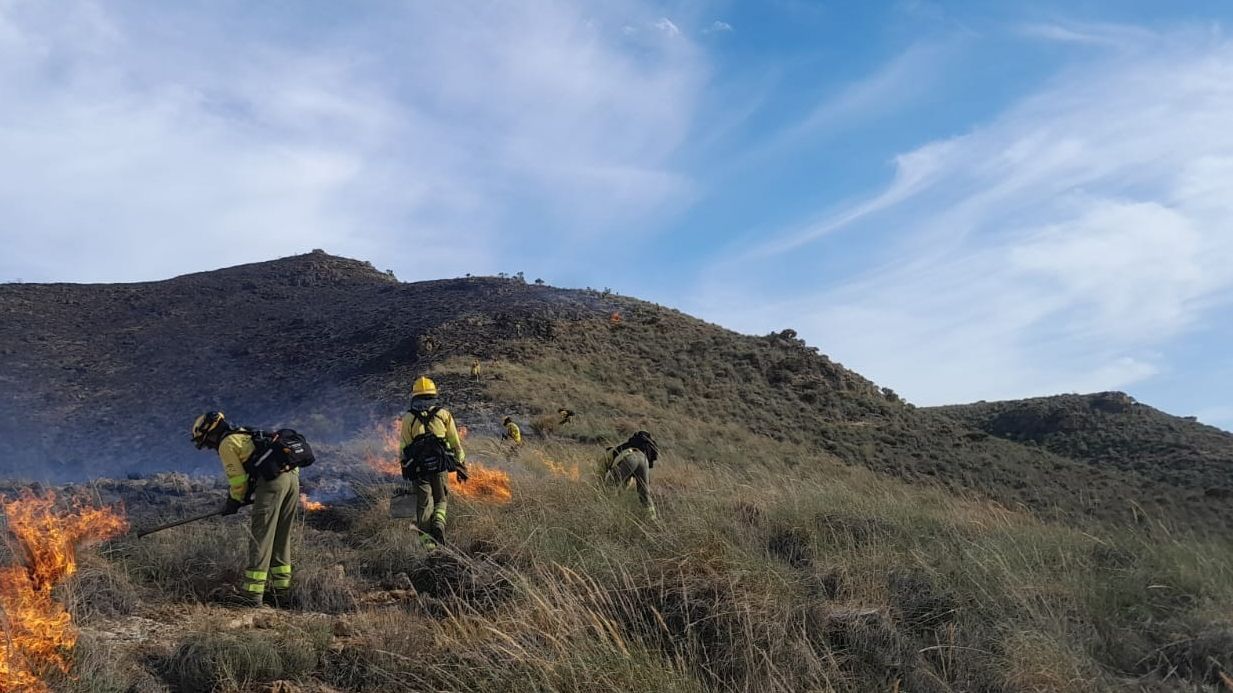 Intervención de Infoca en el incendio en Huércal, Almería