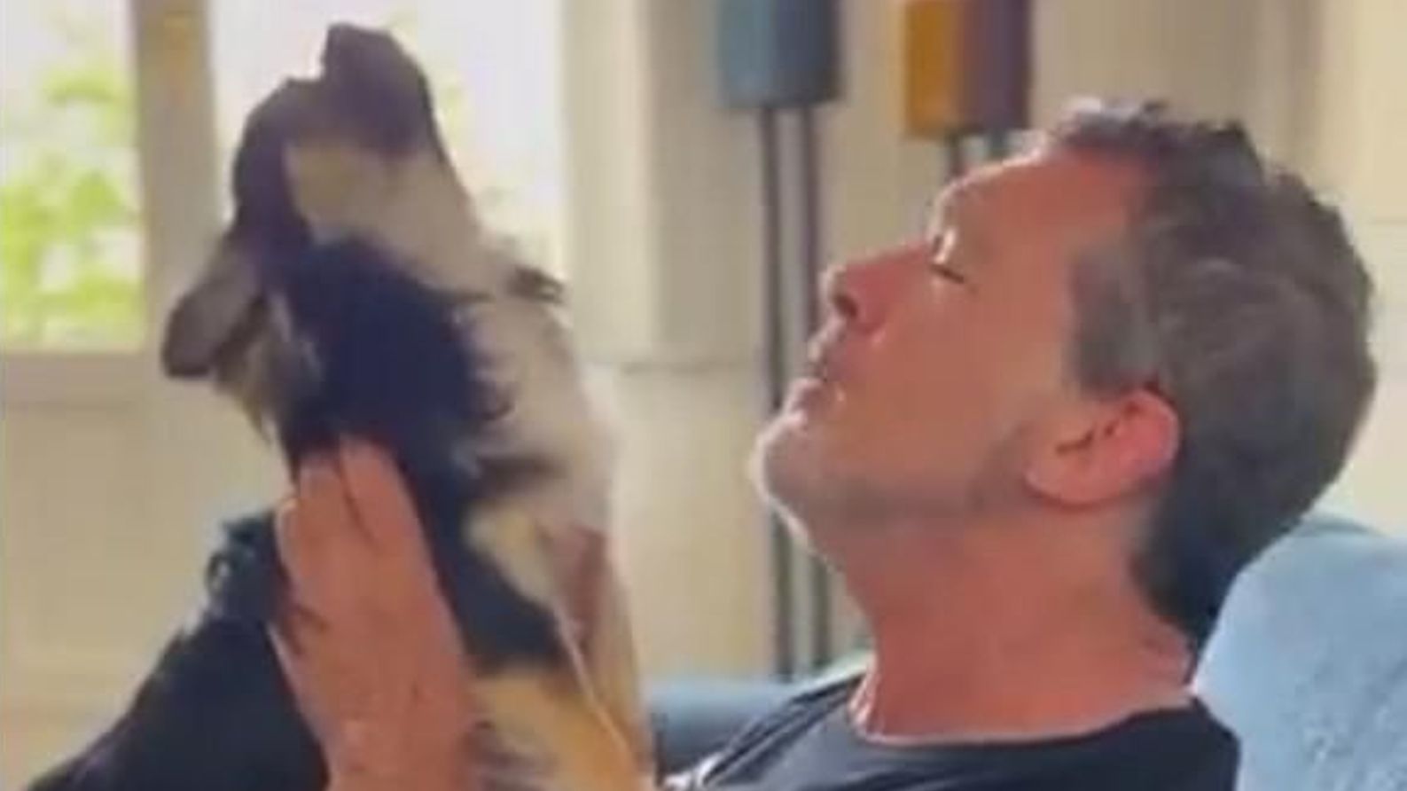 Antonio Banderas y Gypsy