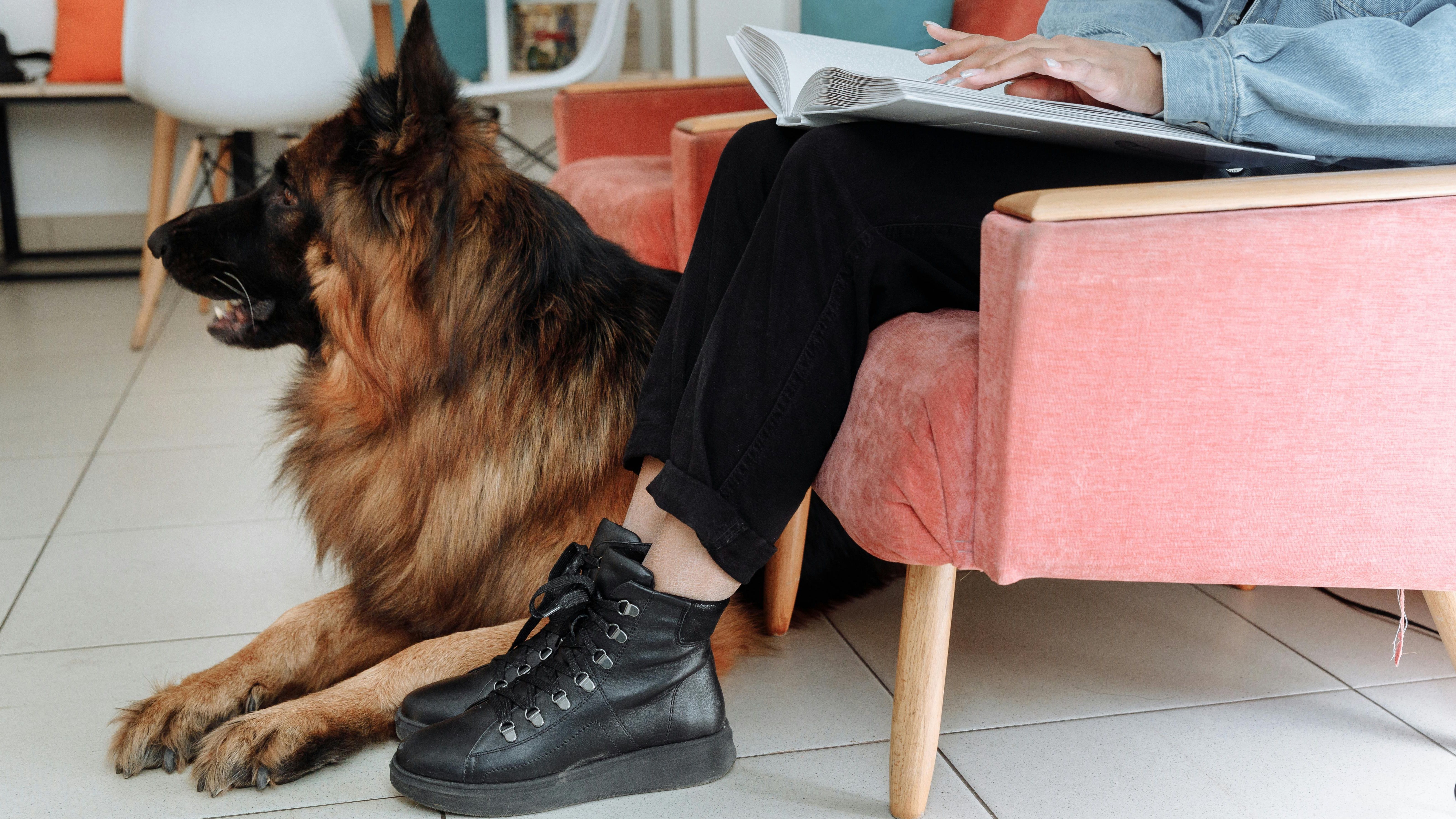 pexels thirdman 7268581