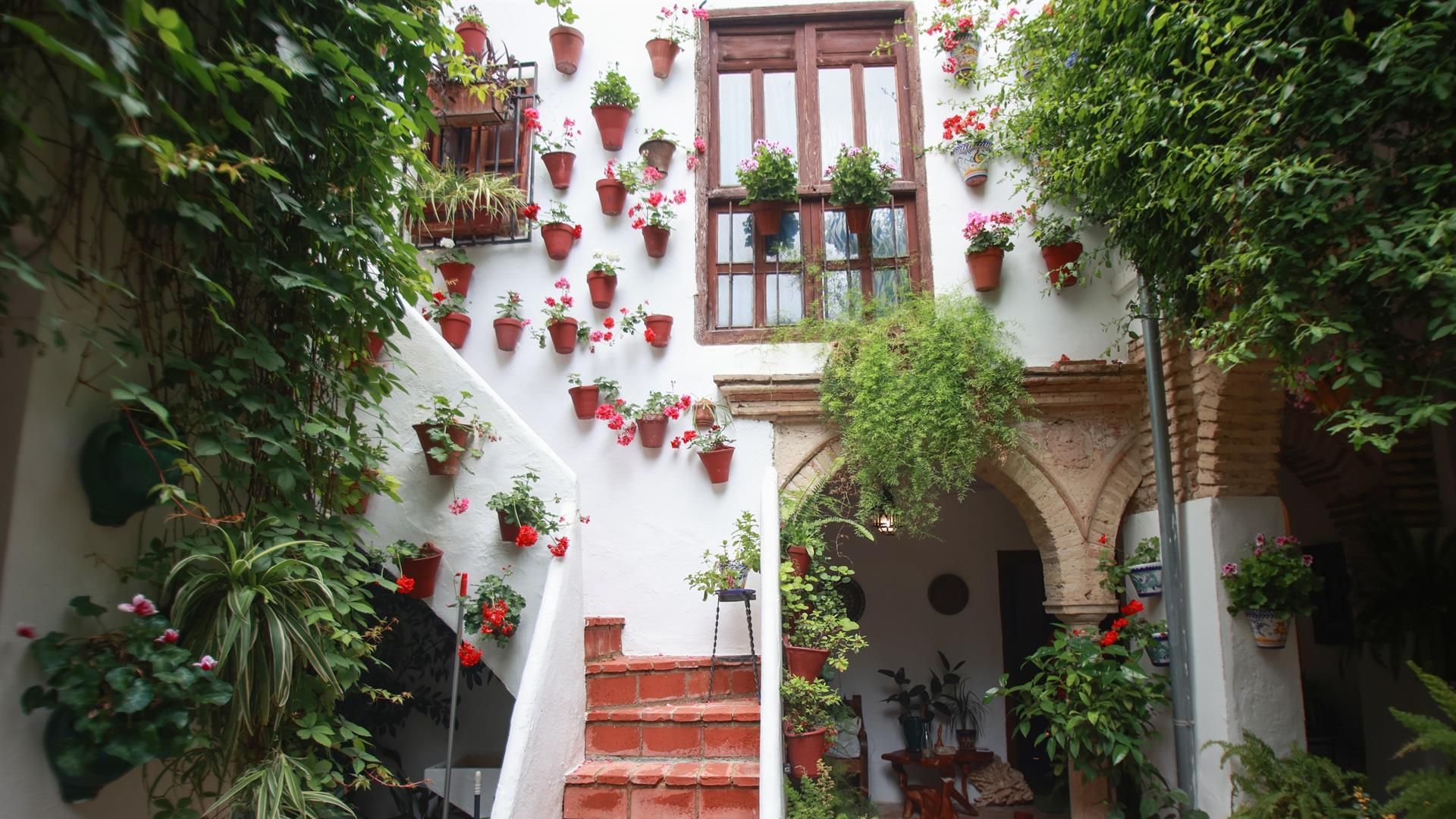 Un patio cordobés típico