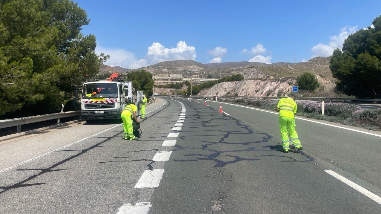 Un policía mata a tiros a un perro que "ponía en peligro" a muchos vehículos de la A-7 en Tarragona