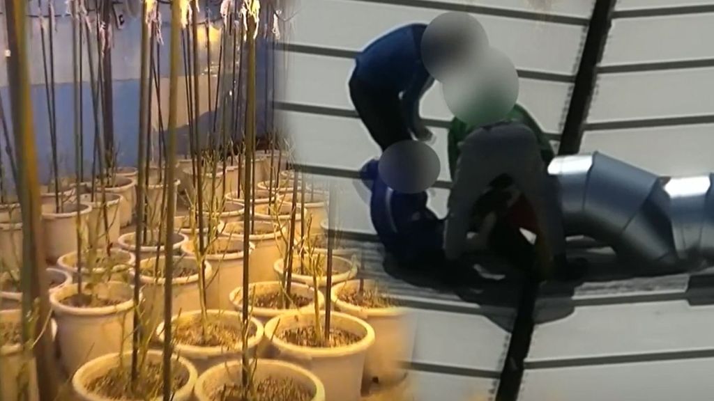 Cuatro personas huyeron por el tejado de una nave industrial