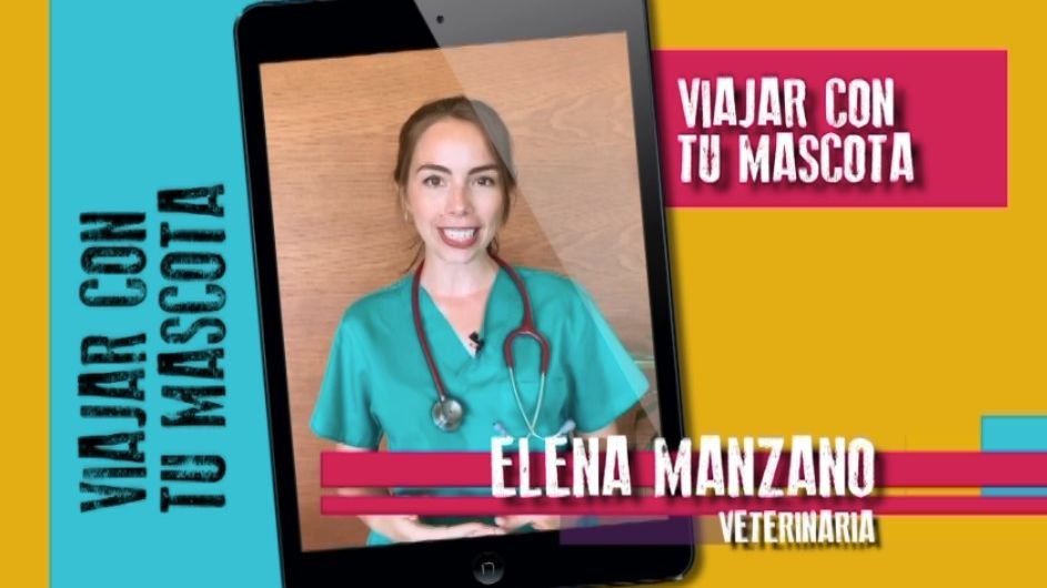 documentacion para viajar con mascotas