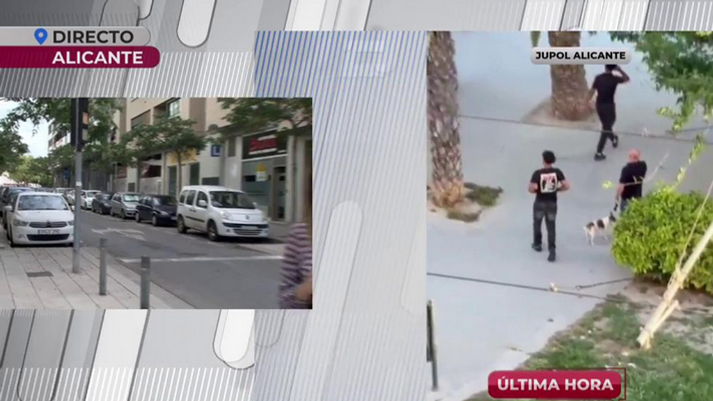 Imágenes impactantes | 12 personas detenidas tras una brutal pelea con menores de edad en Alicante