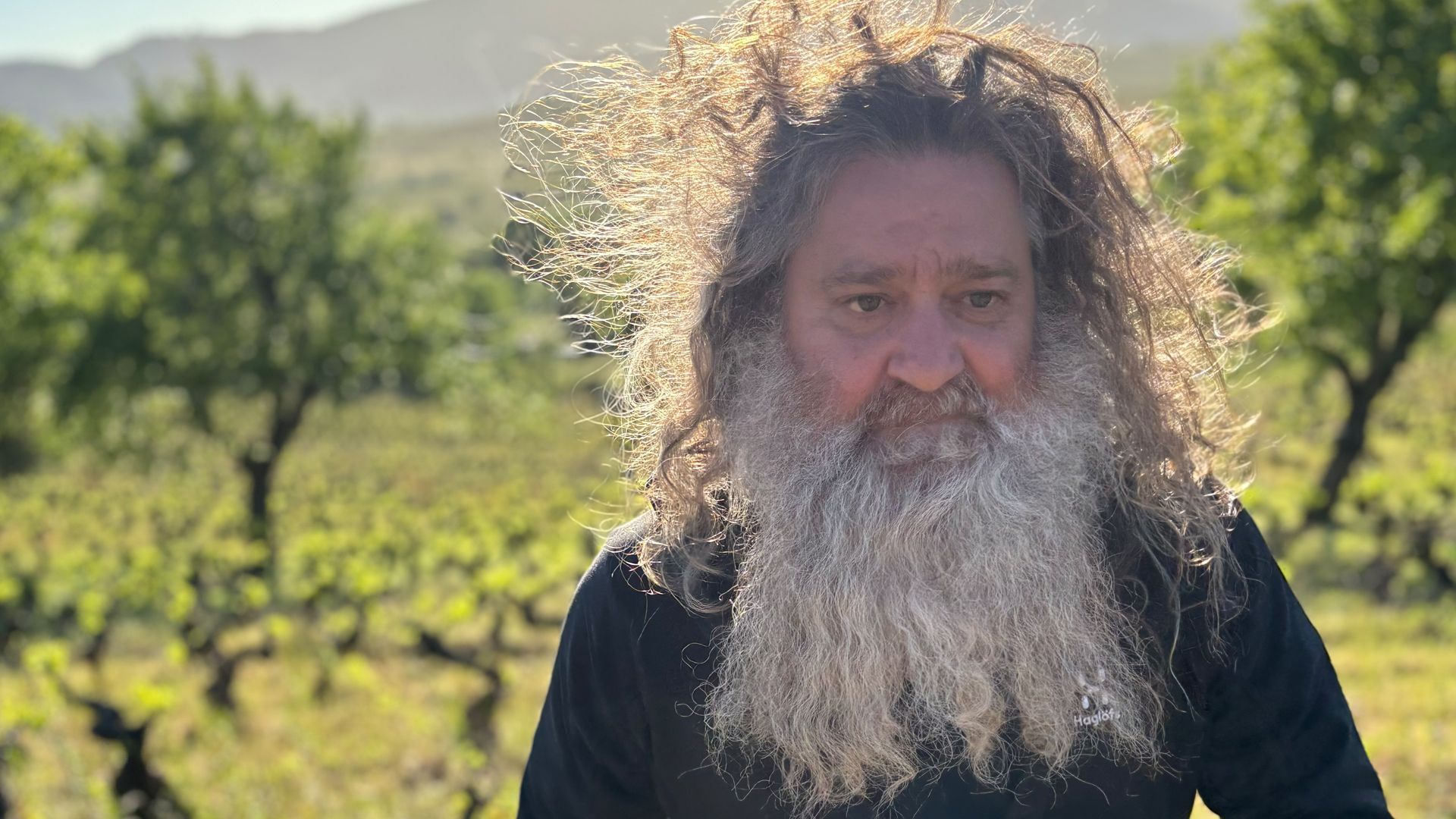 raúl pérez enólogo