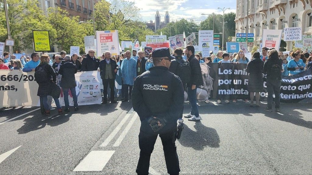 Manifestación de los veterinarios frente al Congreso de los Diputados
