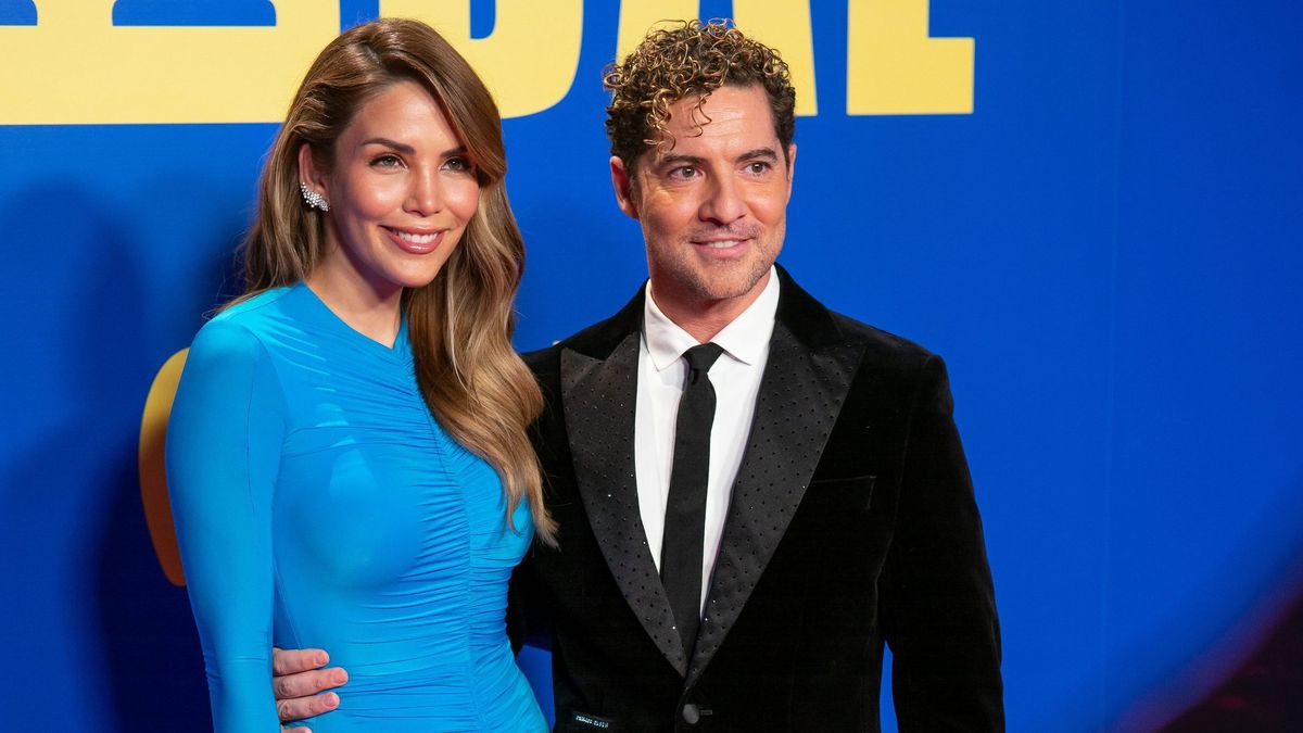 David Bisbal y Rosanna Zanneti