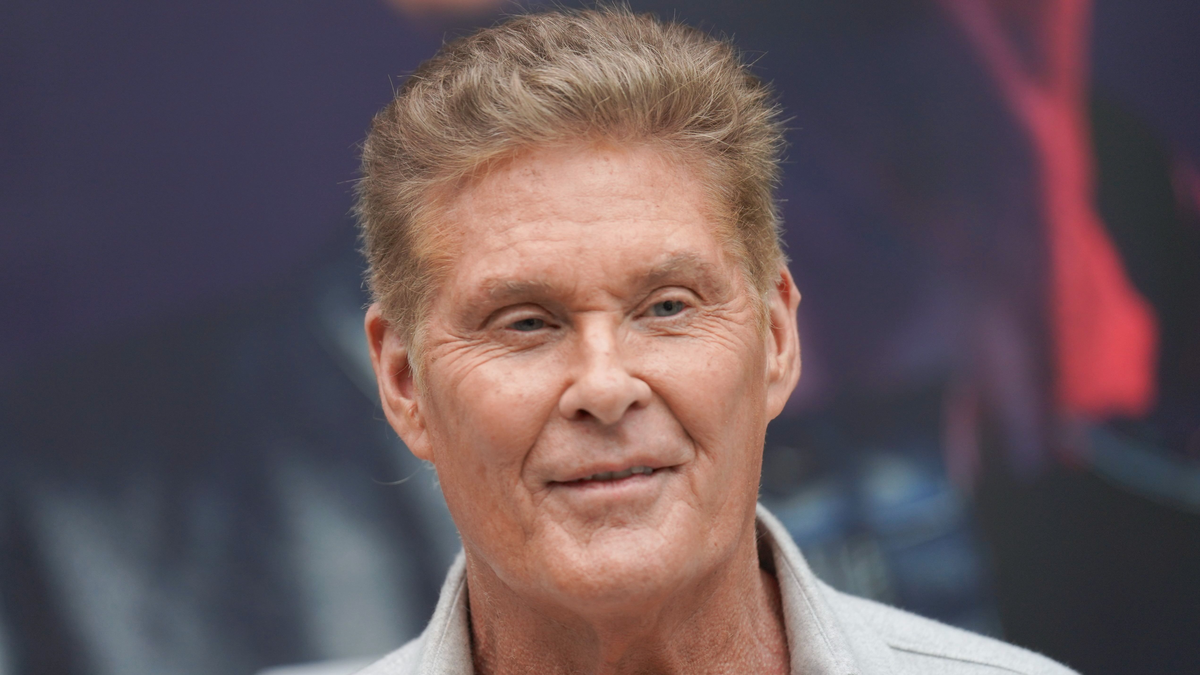 David Hasselhoff. David Hasselhoff.